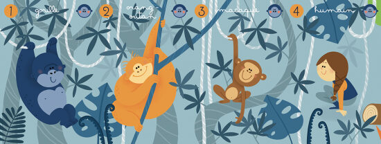 Les primates - Jeu de 7 familles pour le Muséum Aquarium de Nancy